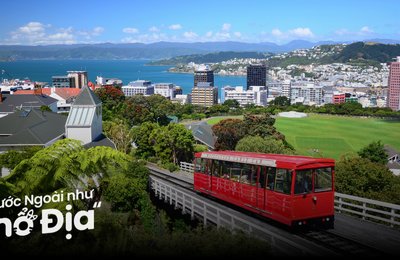 10 Địa Điểm Du Lịch Wellington Ở New Zealand Hấp Dẫn Du Khách