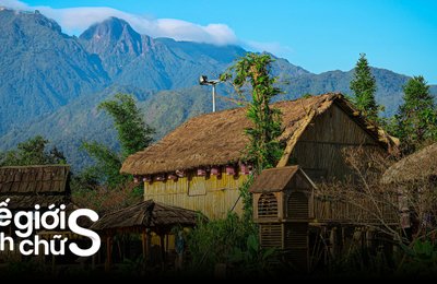 Review Tả Phìn Ở Sapa: 1 Ngày Sống Chậm Giữa Núi Rừng