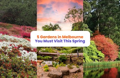 5 Gardens in Melbourne You Must Visit This Spring