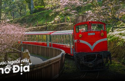 Alishan Có Gì Chơi? 15 Địa Điểm Du Lịch Alishan Hot Nhất