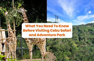 What You Need To Know Before Visiting Cebu Safari and Adventure Park: Entrance Fees, Park Hours, Attractions and More!