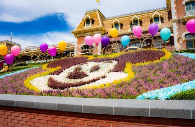 香港ディズニーランドのチケットをKlookで年パスにアップグレードする方法!注意点も解説