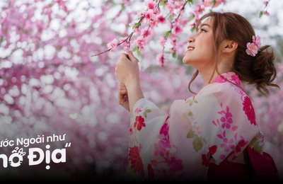 12 Địa Điểm Du Lịch Nhật Bản Mùa Xuân Đẹp Lung Linh