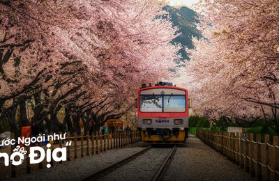 Lịch Trình Du Lịch Busan 4 Ngày 3 Đêm Từ Seoul Tiết Kiệm