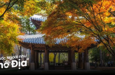12 Trải Nghiệm Tại Gyeonggi-do Đầy Ý Nghĩa Cho Cà Gia Đình