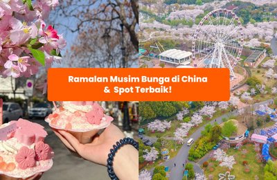 Ramalan Musim Bunga di China &  Spot Terbaik! 