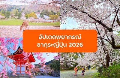 อัปเดตพยากรณ์ซากุระญี่ปุ่น 2026 และจุดชมยอดฮิต รับฤดูใบไม้ผลิ