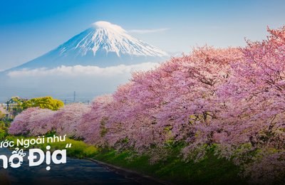 8 Trải Nghiệm Thiên Nhiên Đáng Thử Khi Du Lịch Nhật Bản