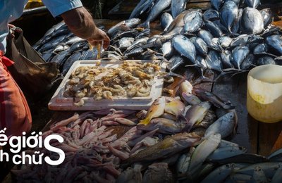 10 Chợ Hải Sản Ở Vũng Tàu Nổi Tiếng Nhất Cho Team Tự Túc