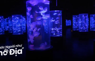 Kinh Nghiệm Tham Quan Thủy Cung Manila Ocean Park Tự Túc
