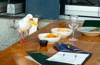 6 Best Australian Food to Try on Your Next Trip