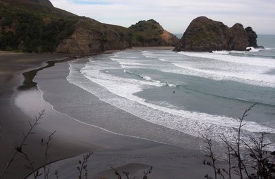 Auckland Top Beaches You’ll Love for Sun, Surf, and Sea