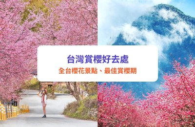 台灣櫻花2026|全台櫻花季+17大賞櫻景點推介!陽明山/阿里山/日月潭櫻花期