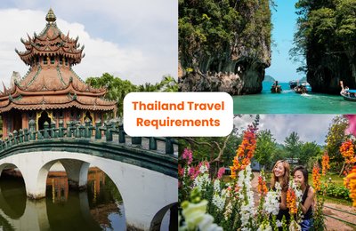 Thailand Entry Requirements for Singaporeans: How to Submit the Digital Arrival Card Before Entry					