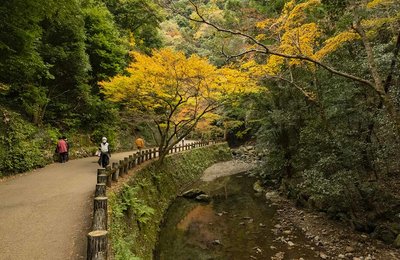 6 Peaceful Parks in Osaka for a Nature Break