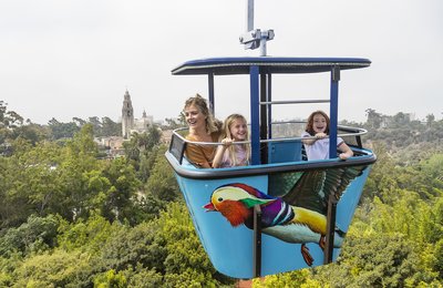 7 Best Family-Friendly Places to Visit in the US