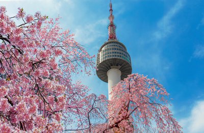 Things to Do in Seoul in April: Best Activities in the City