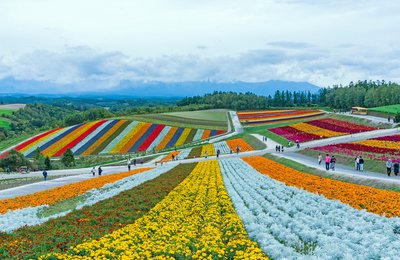 When Is the Cheapest Time to Visit Japan?