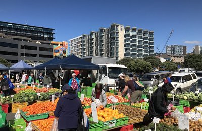 Affordable Eats in Wellington You’ll Love on a Budget