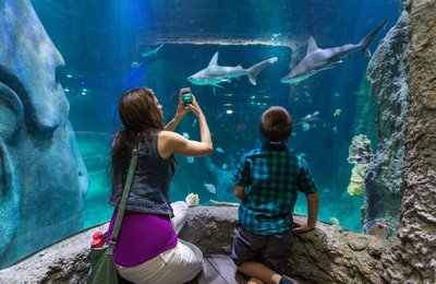Affordable Things to Do in Orlando Under $40 That Are Actually Fun