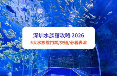 深圳水族館攻略 2026｜5大水族館門票、交通、必看表演全比較

