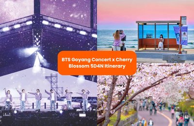 BTS Concert + Cherry Blossoms in Korea: The Perfect 5D4N Travel Plan