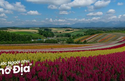 20 Địa Điểm Du Lịch Hokkaido Đẹp Như Tranh Vẽ