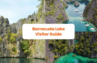 Barracuda Lake, Coron: Plan Your Visit