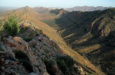 Best Hikes in Australia Worth the Journey, Easy to Difficult
