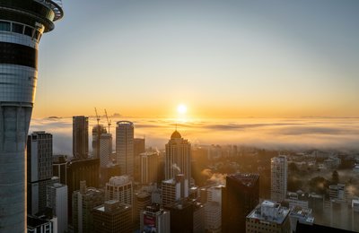 8 Top Fun Things to Do in Auckland for Adults