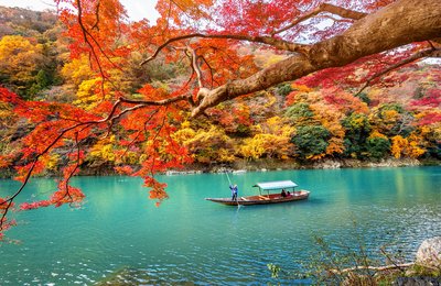 Your Complete Guide to Autumn in Japan: Best Sights & More!