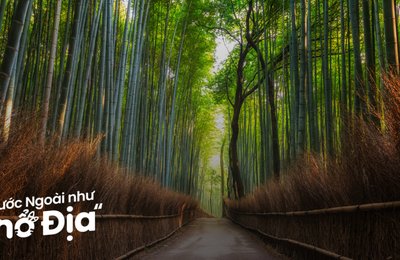 Lịch Trình 1 Ngày Ở Arashiyama - Kyoto: Đi Đâu, Ăn Gì?