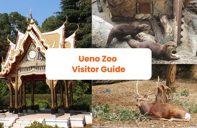 Why Ueno Zoo Is Still One of Tokyo's Best Value Days Out
