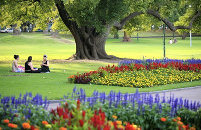 Spring in Melbourne: 8 Things To Do When the City Blooms