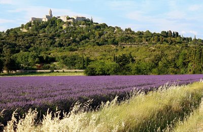7 Best Regions To Visit in France: A Traveler's Guide
