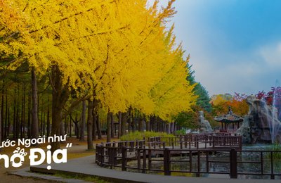 Review Tour Đảo Nami - Petite France Trong 1 Ngày Siêu Tiện