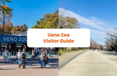 Planning a Visit to Ueno Zoo? Read This First
