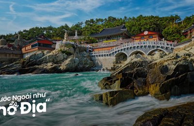 Hành Trình Busan Cho Mọt Phim: Từ BIFF Đến Các Phim Trường