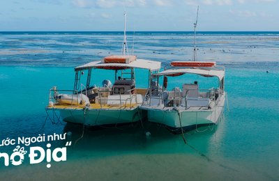 Lặn Biển Great Barrier Reef: Cẩm Nang Chi Tiết Từ A-Z