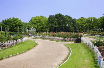 8 Best Nature Spots in Nagoya for Parks, Gardens & Day Trips