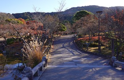 9 Best Kyoto Nature Spots: Gardens, Rivers, Bamboo & Forests