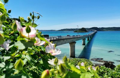 Best Things to Do in Okinawa: A Local's Guide