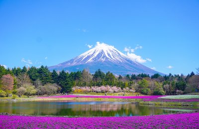 Japan public holidays 2027: full list and travel tips