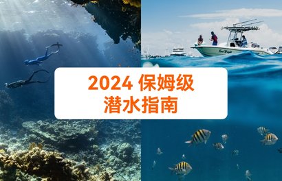 从价格到亲身经验，收好这份给小白的2024保姆级潜水指南