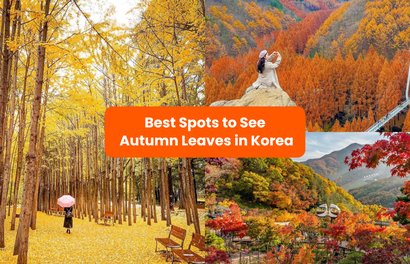 20 Best Places to See Autumn Leaves in Korea 2023