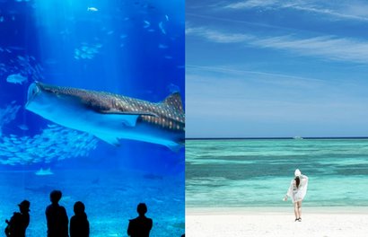 รวมที่เที่ยว ที่กิน และย่านยอดฮิตที่ไม่ควรพลาดในโอกินาว่า ฉบับอัปเดต!