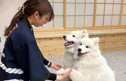 20 Ethical Animal Cafes in Tokyo Worth Visiting