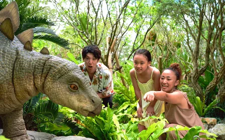 Nature-themed park experience