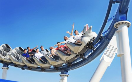 Alpine coaster