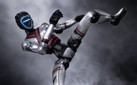Robot Taekwondo Demonstration